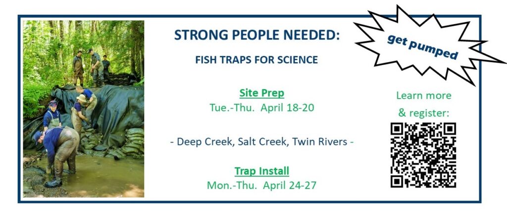 Help Set Up Fish Weirs with Natural Resources
