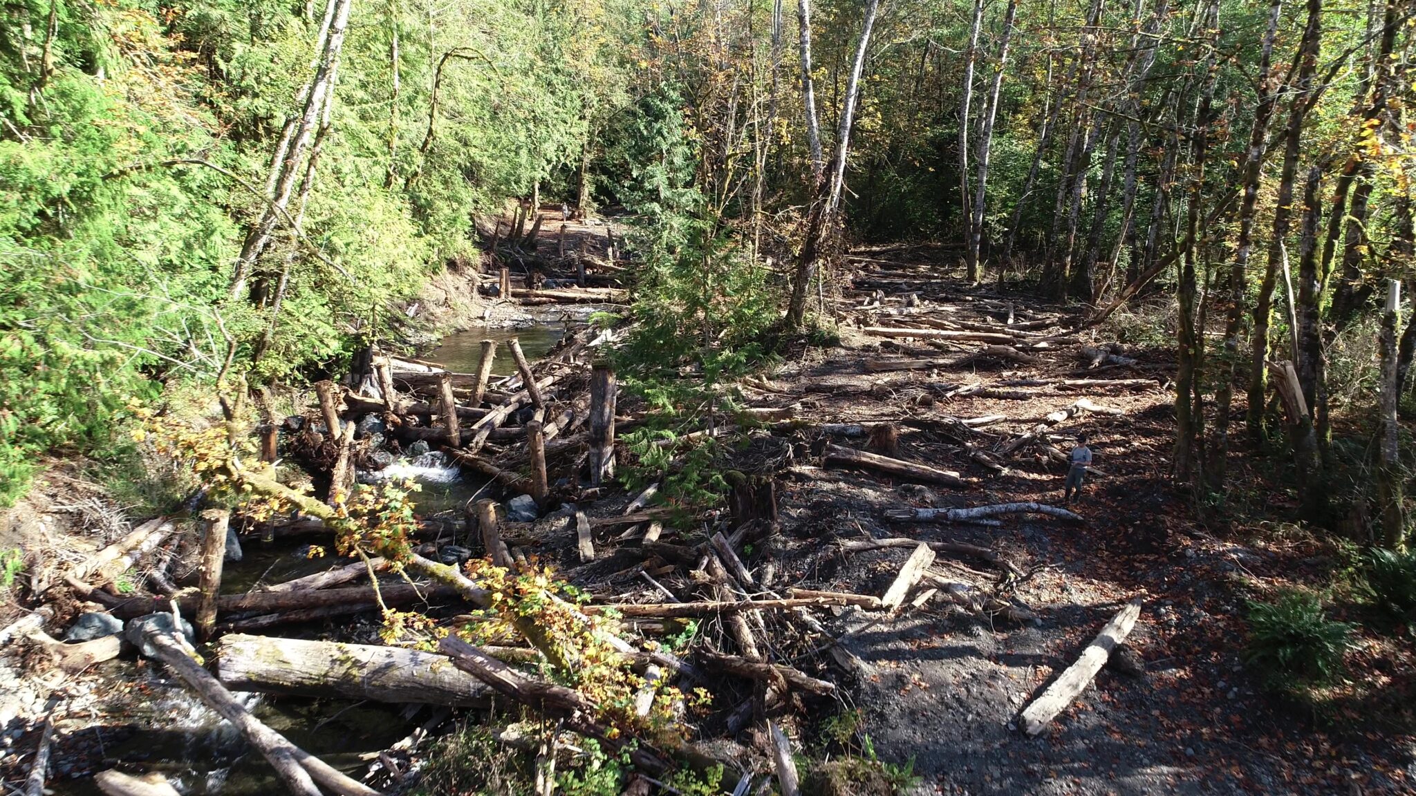 Habitat Restoration Lower Elwha Klallam Tribe
