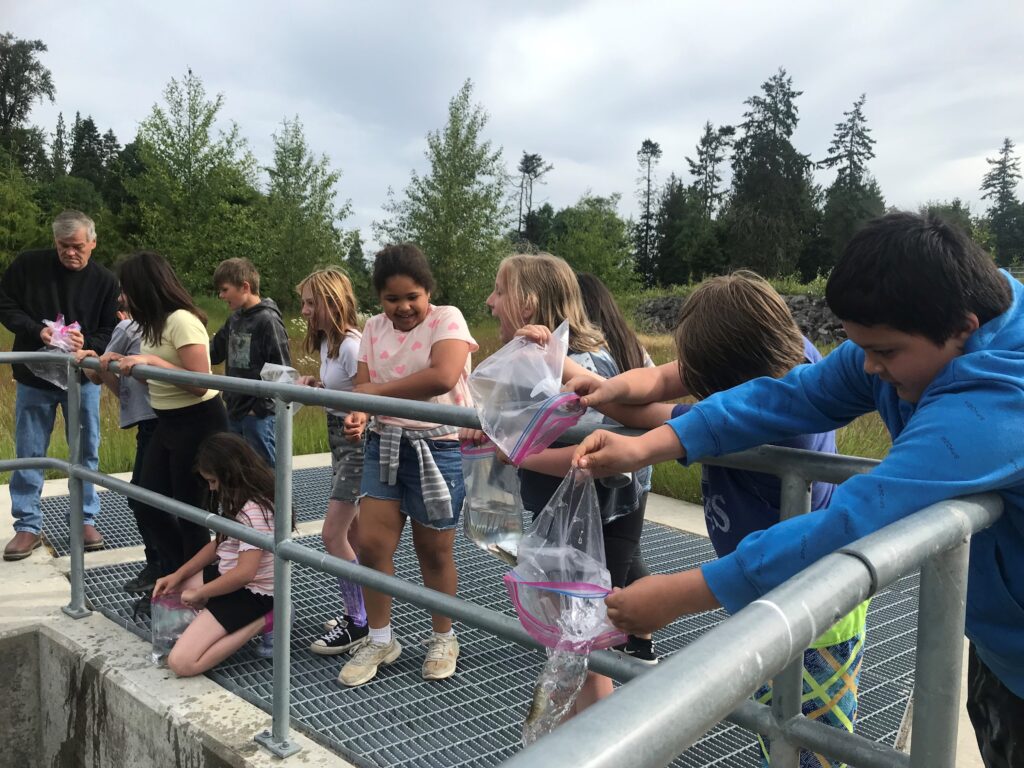 Elementary school students participate in historic release year for the House of Salmon