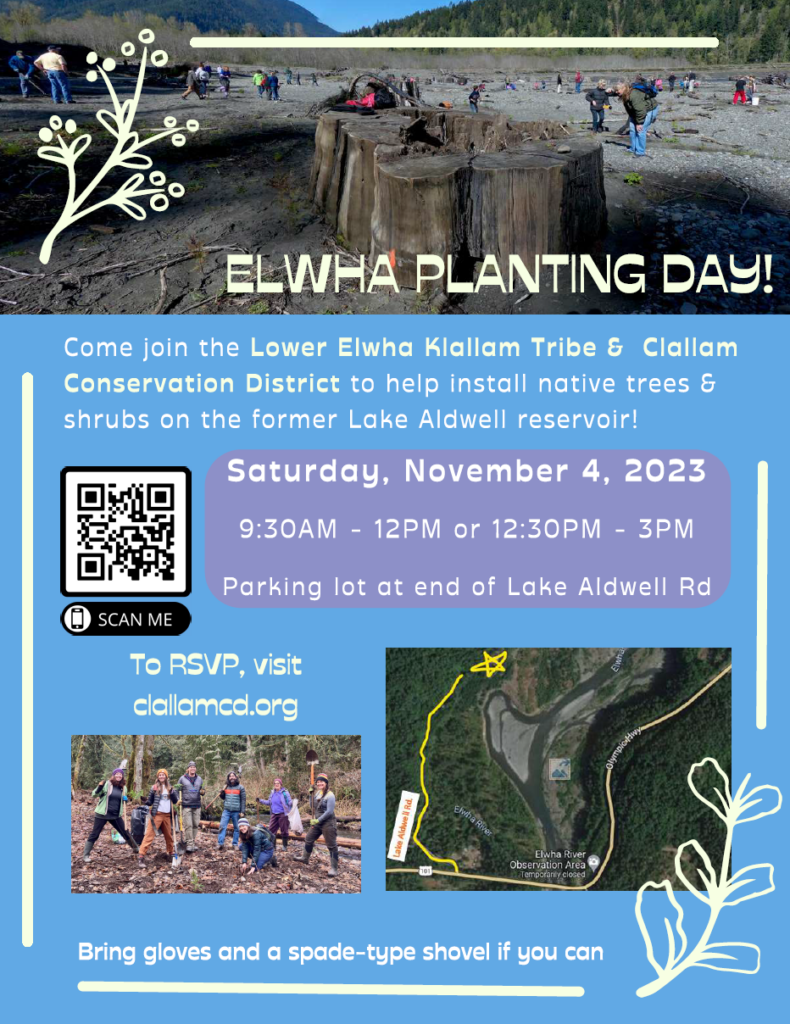 Elwha Planting Day
