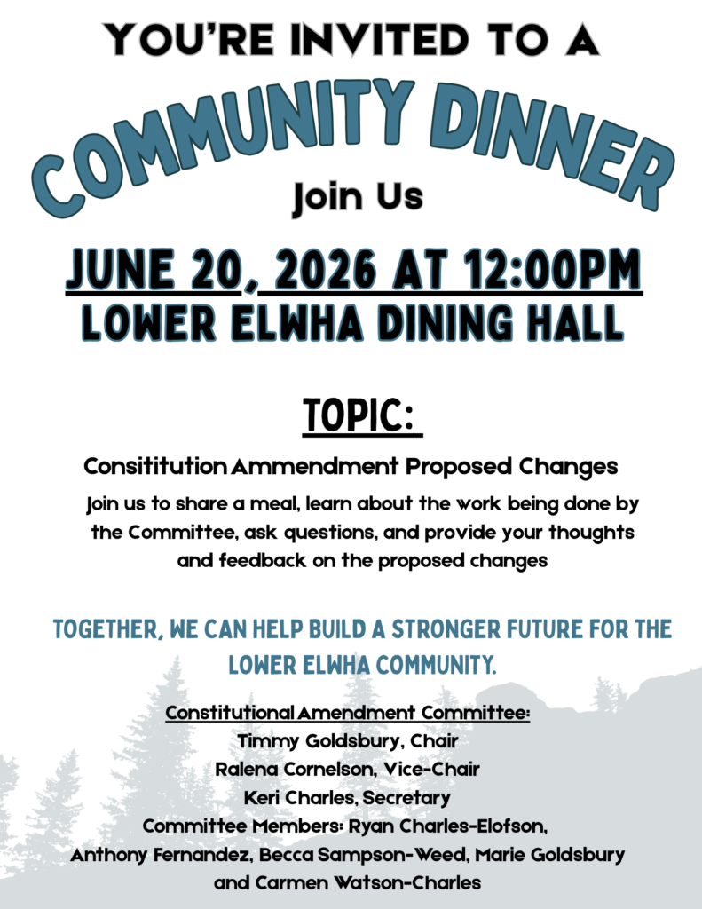 Constitutional Amendment Committee Lunch