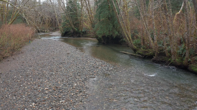 Early restoration efforts supported sediment retention and helped heal riparian areas; however, this aggradation buried the wood that was installed in the 90s. 